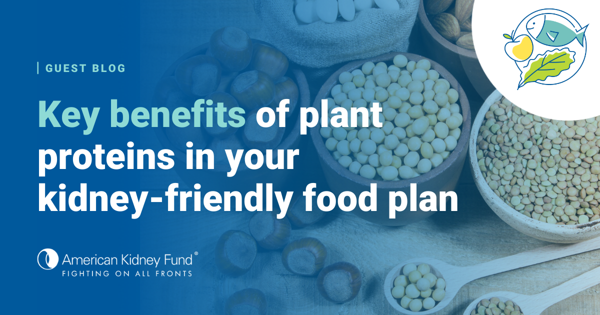 Key benefits of plant proteins in your kidneyfriendly food plan